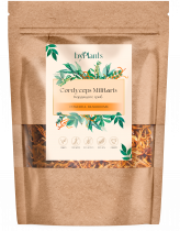 ByPlants Cordyceps Militaris, 100 гр